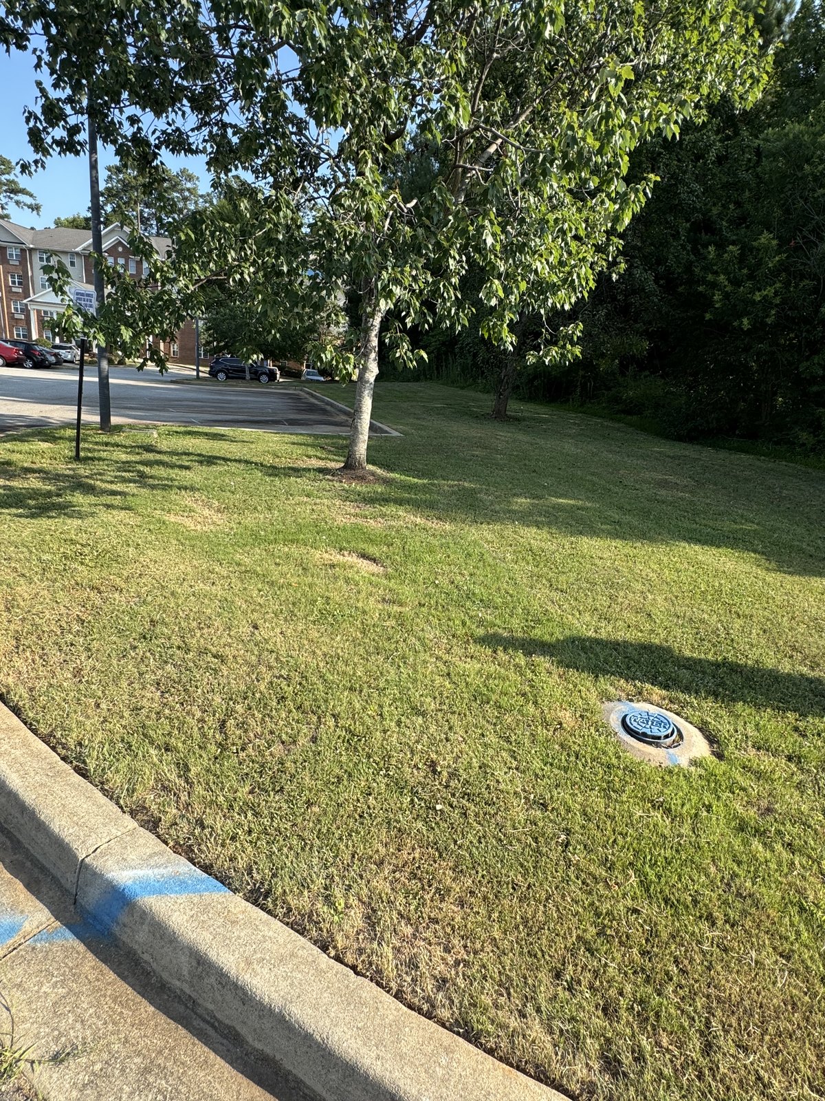 Maintained shared grounds along an apartment-community parking area